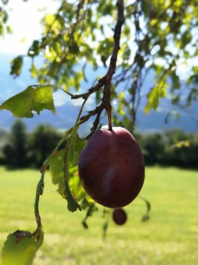 Saderhof Βίλα Μπρεσανόνε Εξωτερικό φωτογραφία